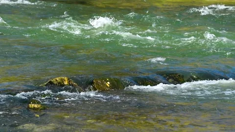 River flowing through a lush green forest on a sunny summer day Vídeo Stock 339766037