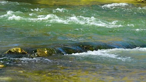 River flowing through a lush green forest on a sunny summer day Video stock 339766073