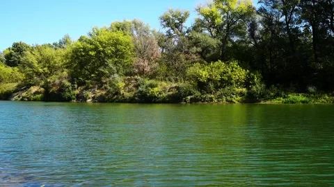 River flowing through a lush green forest on a sunny summer day Vidéo 339766642
