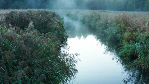 River flowing through meadow in autumn morning with fog. Stock Footage 286142691