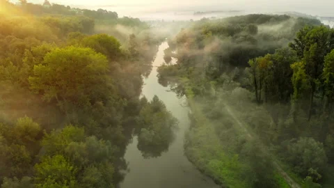 River flowing through misty forests and wetlands Stock Footage 137321657