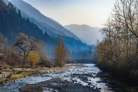 River flowing through misty mountain valley covered with dense forests and bl 스톡 사진