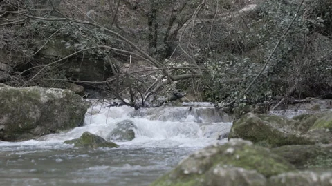 River flowing through moss rocks in the forest, 4K, DNxHR Video stock 152532100
