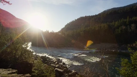 River flowing through mountain forest on a sunny day Stock Footage 116739458