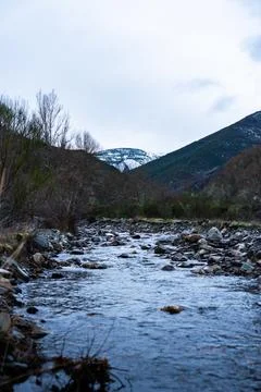 River flowing through mountain valley with winter trees Stock Photos