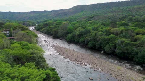 River flowing through natural landscape, Drone aerial of tropical environment Stock Footage 320146210