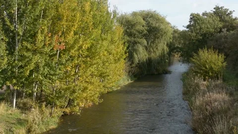 A River Flowing Through A Public Park Stock Footage 163368123