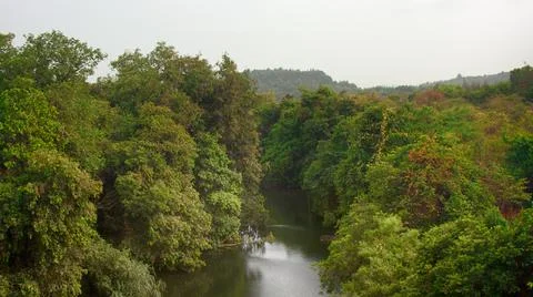 River flowing through rain forest of Western Ghats Stock-Fotos