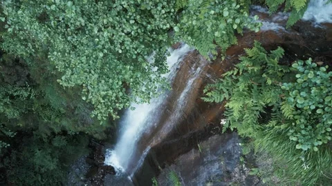 River Flowing Through The Rexio Waterfall Within The Lush Green Forest Stock Footage 279564545