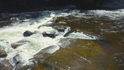 River flowing through rocks along the green forest Stock Footage 103823466
