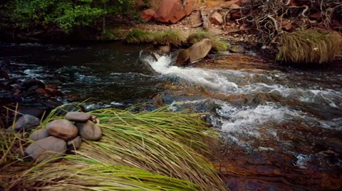 River flowing through rocks Vidéo 49444572