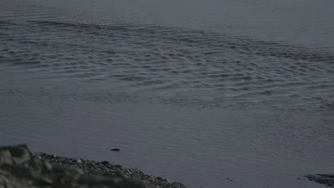 River flowing through the rocks Video stock 104525513