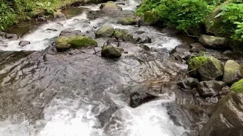 River flowing through rocks Stock Footage 274037011