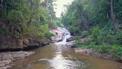 River flowing through a rocky forest with trees and sunlight Stock-Fotos