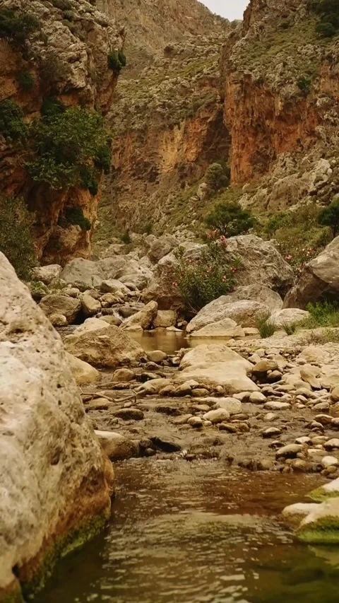 River flowing through rocky gorge in mountain valley Stock Footage 310538027