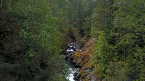 River flowing through rocky terrain  in the forest. Vídeo Stock 186901919