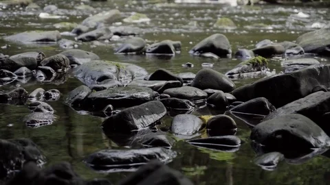 River Flowing Through Small Rocks Video stock 78642722