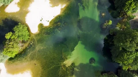 River flowing through trees in untouched nature, aerial drone view. 库存影片 344278567