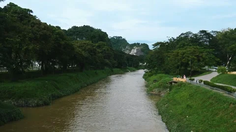 River flowing through tropical landscape, Malaysia nature scenery Video stock 332862896