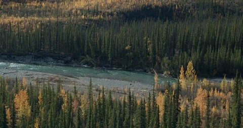 River flowing through a valley in beautiful fall colors Stock Footage 115631622