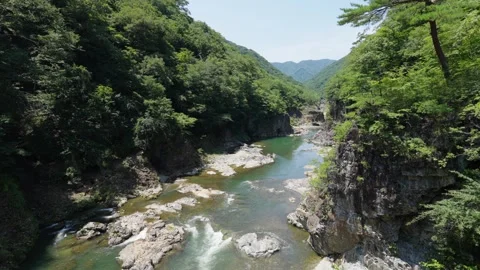 River flowing through valley surrounded by trees Stock Footage 254004364