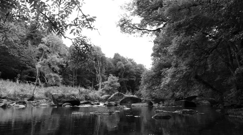 A river is flowing through a wild green forest. Peaceful and relaxing scene. Stock Footage 68353721