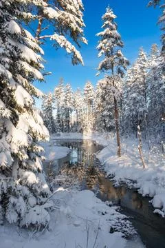 River flowing through the winter forest in Sweden Stock Photos