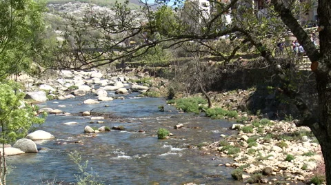 River flowing towards the camera, framed by branch trees Stock Footage 49058833