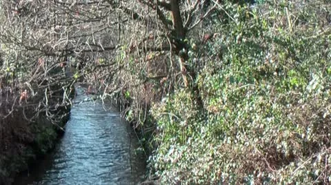 River Flowing Towards You On The Left Side Of The Woods Stock Footage 22187152