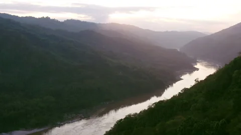 River flowing by trees aerial Stock Footage 279024911