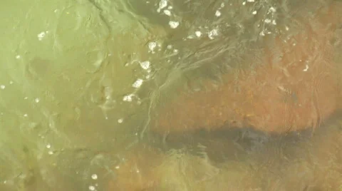 River flowing water from above Stock Footage 371352