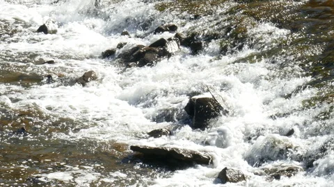 River, flowing water, water surface, rapids, foam, foaming Stock Footage 129868328