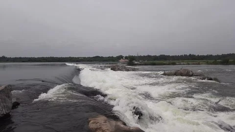 River is flowing in wild forest. Stock Footage 244660840