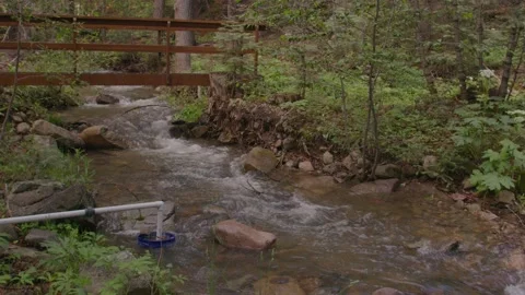 River flowing in the woods Stock Footage 204870324