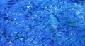 River Flows 01 Slow Motion 60fps Loop HD720 HD Footage