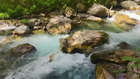 The River Flows Against the Backdrop of Tropical Vegetation. Stock Footage 203895939