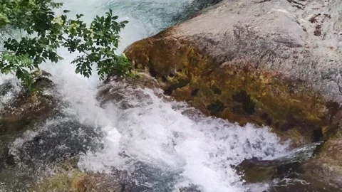 The River Flows Against the Backdrop of Tropical Vegetation in a Park. Stock Footage 203896014