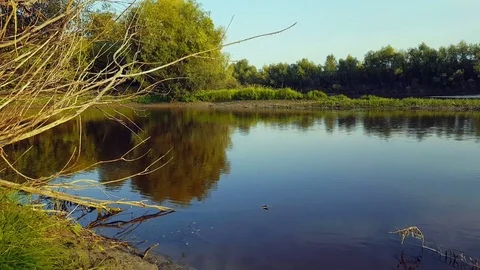 River flows along the shore Video stock 80441251