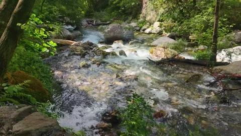 River Flows Among Mountain Landscapes.  Stock Footage 203895945