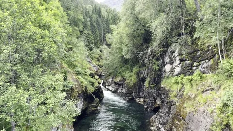 The river flows among the rocks of the mountains Stock Footage 317246264