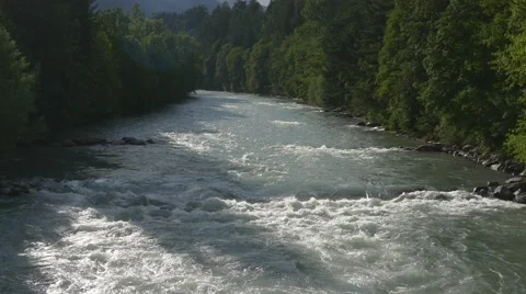River flows among the trees Stock Footage 66784046