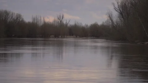 River flows among the trees without leaves Video stock 283566228