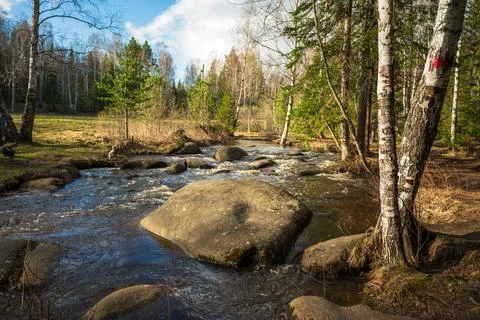 A river flows around a large rock in a natural landscape with trees and plant Stock Photos