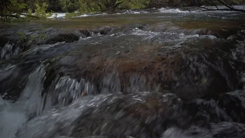 A river flows around where a single tree stands Stock-Footage 118292849