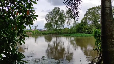 The river flows back to the sea Stock Footage 221963411