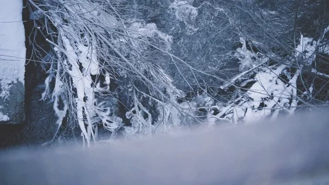 A river flows beneath a bridge. Video stock 126724077