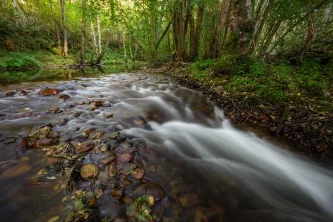 A River Flows between boulders and fallen leaves Stock Photos
