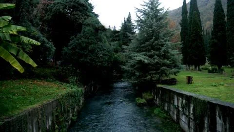 The river flows between green trees in Abkhazia Stock Photos