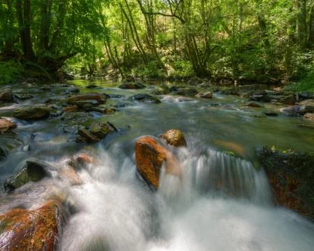 River flows between orange boulders and green oak and birch forests Stock Photos
