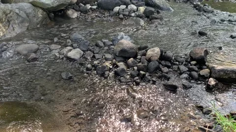 The river flows between the rocks Stock Footage 209281593